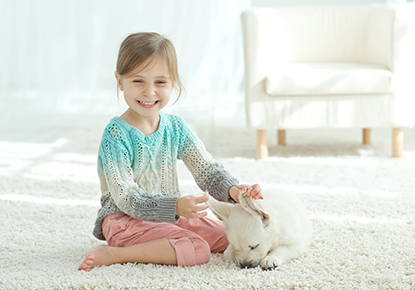 pet_odor_and_stain_removal